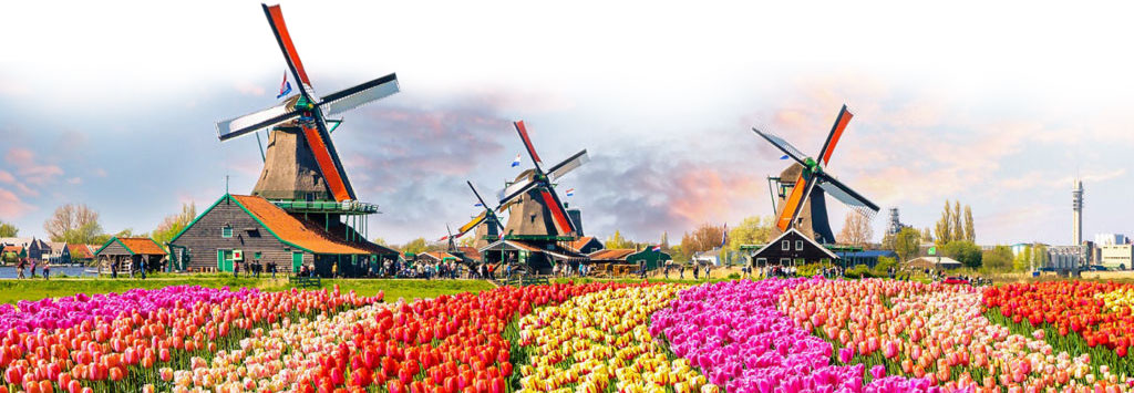 Windmill-bottom